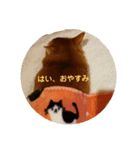 モカのまったりスタンプ（個別スタンプ：2）