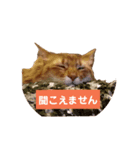 モカのまったりスタンプ（個別スタンプ：8）