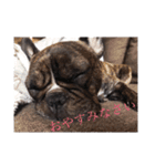 ～フレブル、ノアの日常～（個別スタンプ：16）