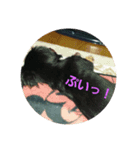 ミニチュアダックスのかわいいスタンプ（個別スタンプ：4）