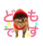 リオ＆そら (敬語編)（個別スタンプ：3）