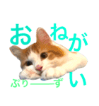リオ＆そら (敬語編)（個別スタンプ：5）