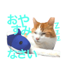 リオ＆そら (敬語編)（個別スタンプ：8）