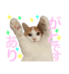 リオ＆そら (敬語編)（個別スタンプ：10）