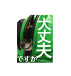 リオ＆そら (敬語編)（個別スタンプ：13）