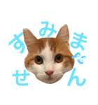 リオ＆そら (敬語編)（個別スタンプ：14）