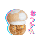 「抜け毛帽子」かわいい猫の実写スタンプ1（個別スタンプ：4）