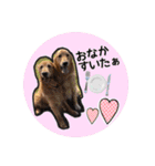 犬用スタンプです！（個別スタンプ：5）