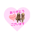 犬用スタンプです！（個別スタンプ：11）