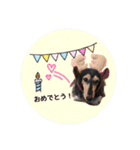 犬用スタンプです！（個別スタンプ：17）