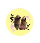 犬用スタンプです！（個別スタンプ：22）