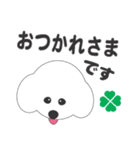 しろいわんこ（個別スタンプ：4）