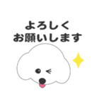しろいわんこ（個別スタンプ：12）