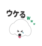 しろいわんこ（個別スタンプ：13）
