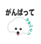 しろいわんこ（個別スタンプ：15）