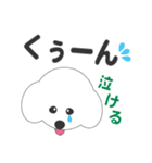 しろいわんこ（個別スタンプ：16）