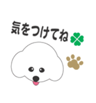 しろいわんこ（個別スタンプ：17）