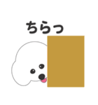 しろいわんこ（個別スタンプ：20）