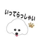 しろいわんこ（個別スタンプ：25）