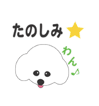 しろいわんこ（個別スタンプ：40）