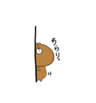 くまくん①（個別スタンプ：8）