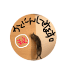 すーくんpart2（個別スタンプ：5）