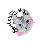 すーくんpart2（個別スタンプ：10）