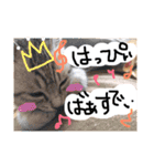 すーくんpart2（個別スタンプ：13）