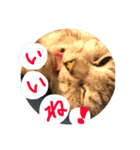 すーくんpart2（個別スタンプ：15）