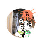 すーくんpart2（個別スタンプ：16）