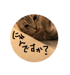 すーくんpart2（個別スタンプ：19）