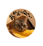 すーくんpart2（個別スタンプ：21）