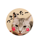 すーくんpart2（個別スタンプ：22）