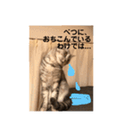 すーくんpart2（個別スタンプ：25）
