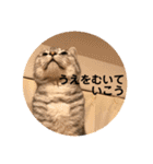 すーくんpart2（個別スタンプ：28）
