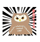 あんちゃんの福フクロウ（個別スタンプ：2）