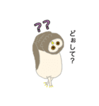 あんちゃんの福フクロウ（個別スタンプ：5）