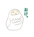 あんちゃんの福フクロウ（個別スタンプ：8）