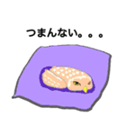 あんちゃんの福フクロウ（個別スタンプ：12）