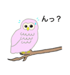 あんちゃんの福フクロウ（個別スタンプ：14）