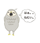 あんちゃんの福フクロウ（個別スタンプ：16）