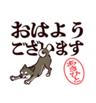 黒柴あきひと（デカ文字・敬語）（個別スタンプ：9）