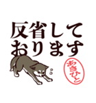 黒柴あきひと（デカ文字・敬語）（個別スタンプ：24）