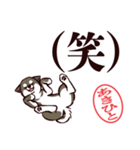 黒柴あきひと（デカ文字・敬語）（個別スタンプ：36）