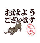 黒柴いっせい（デカ文字・敬語）（個別スタンプ：9）