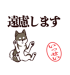 黒柴いっせい（デカ文字・敬語）（個別スタンプ：29）