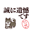 黒柴いっせい（デカ文字・敬語）（個別スタンプ：38）