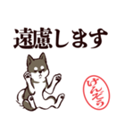 黒柴けんぞう（デカ文字・敬語）（個別スタンプ：29）