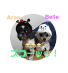 アロベルスタンプ（個別スタンプ：3）