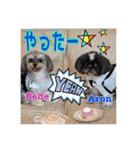 アロベルスタンプ（個別スタンプ：6）